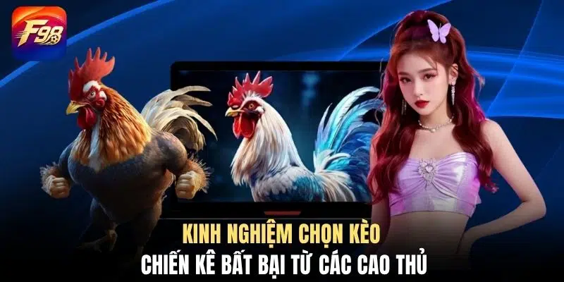 Kinh nghiệm chọn kèo chiến kê bất bại từ các cao thủ